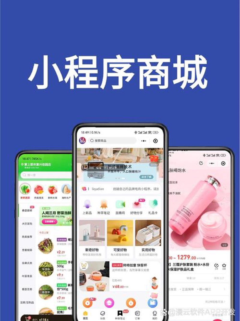 探索软件开发定制的未来趋势